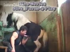 Plump dirty slut wife sits down in the barn and gives a mini-horse a oral-service 